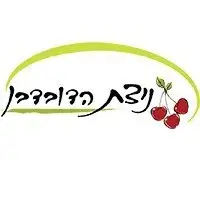 62c0f103a22547168a0e8953aeb2d21b