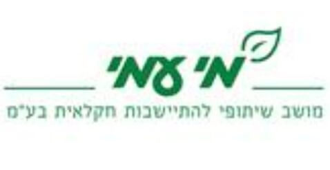 מי-עמי